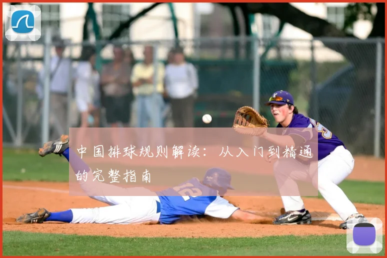 中国排球规则解读：从入门到精通的完整指南