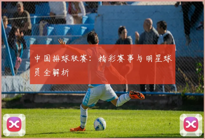 中国排球联赛：精彩赛事与明星球员全解析