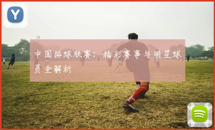 中国排球联赛：精彩赛事与明星球员全解析